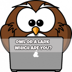 Owl or a Lark –  Which Are You?
